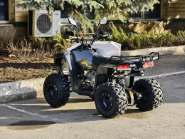 Квадроцикл Lion 125 RR черный(карбон)
