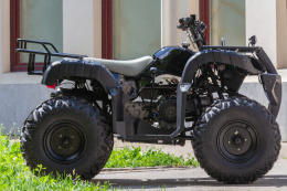 Квадроцикл WELS ATV THUNDER 200 (E200) NEW