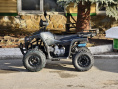 Квадроцикл Lion 125 RR черный(карбон)