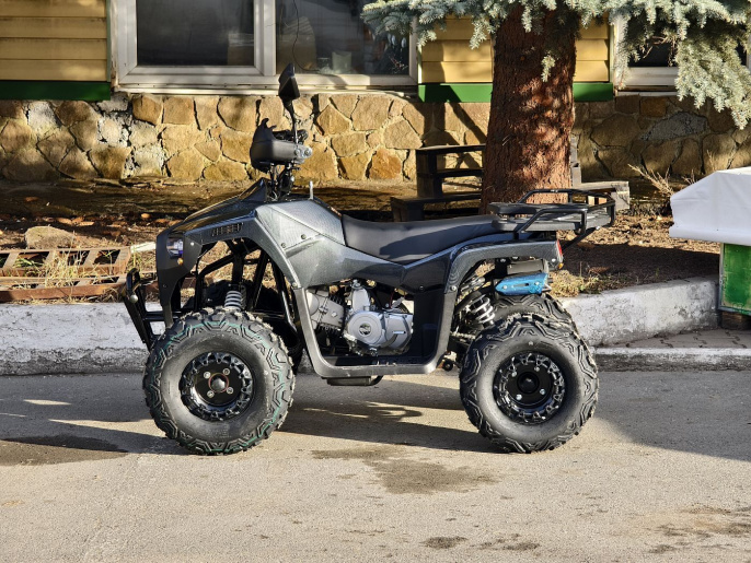 Квадроцикл Lion 125 RR черный(карбон)