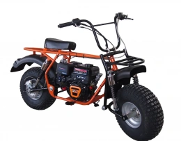 Мотоцикл СКАУТ САФАРИ 3- 9 BIGFOOT (перед. и задн. подвеска, 9лс KP230 PRO, руч. старт, диск тормоз)	