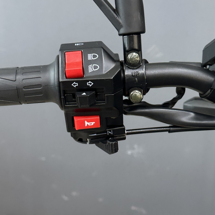 Мотоцикл Regulmoto Nibbler