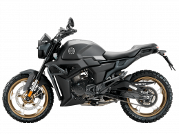 Мотоцикл ZONTES ZT200-G1 (4T ZT163ML EFI) 17/17 ПТС
