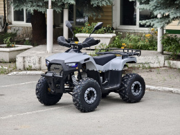 Квадроцикл Lion 125 AA серый