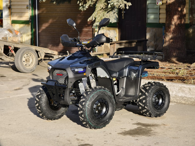 Квадроцикл Lion 125 RR черный(карбон)