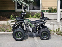 Квадроцикл Lion 125 CC камуфляж