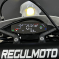 Мотоцикл Regulmoto Crosstrec NB350 с ПТС