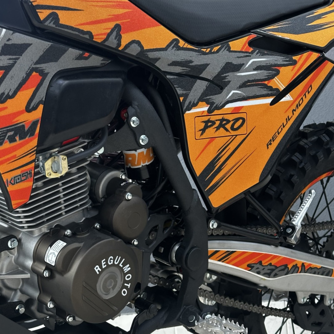 Мотоцикл Regulmoto ATHLETE PRO 300 (4 valves) 6 передач с ПТС