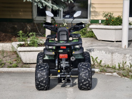 Квадроцикл Lion 125 CC камуфляж