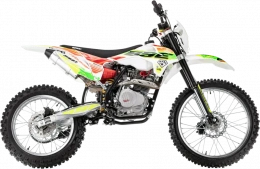 Мотоцикл BSE Z2 Roqvi Green 19/16