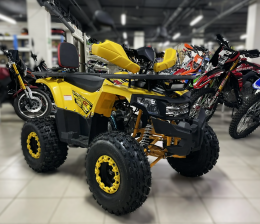 Квадроцикл Lion 125 A PRO