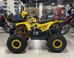 Квадроцикл Lion 125 A PRO
