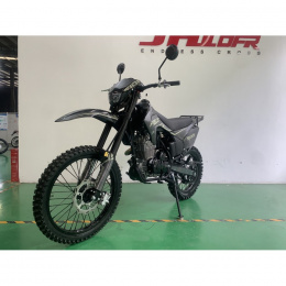 Мотоцикл Fidelis Sport PR300 (175FMN)