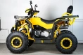 Квадроцикл SPRMOTORS ATV Extreme- 250DQ