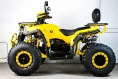 Квадроцикл SPRMOTORS ATV Blade- 200V