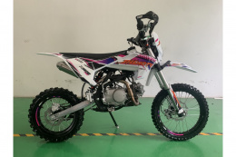 Питбайк JHL Z140E Pro (YX1P56FMJ)
