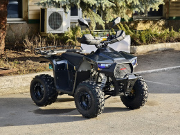Квадроцикл Lion 125 RR черный(карбон)