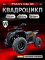 Квадроцикл WELS ATV Dodge 225 Basic (Вертикальный двигатель)