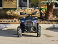 Квадроцикл Lion 125 RR черный(карбон)