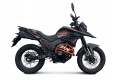 Мотоцикл TMBK Rigo 250