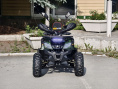 Квадроцикл Lion 125 CC камуфляж