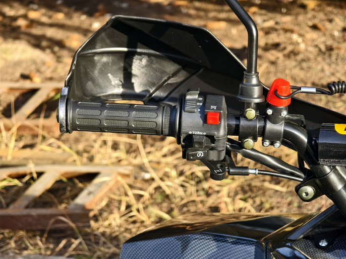 Квадроцикл Lion 125 RR черный(карбон)
