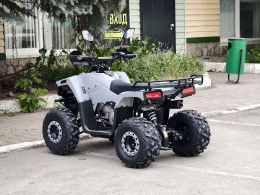 Квадроцикл Lion 125 AA серый