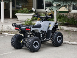 Квадроцикл Lion 125 AA серый