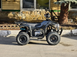 Квадроцикл Lion 125 RR черный(карбон)