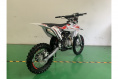 Питбайк JHLmoto Z125E (ZS154FMI-3)
