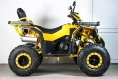 Квадроцикл SPRMOTORS ATV Extreme- 250DQ