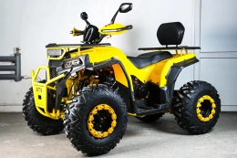 Квадроцикл SPRMOTORS ATV Blade- 200V