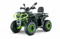 Квадроцикл YACOTA VIKING LONG 250 PRO с ПСМ			 			