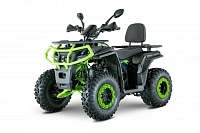 Квадроцикл YACOTA VIKING LONG 250 PRO с ПСМ			 			