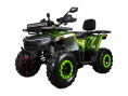 Квадроцикл Avantis Hunter 250 BIG NEW Lux (баланс. вал)