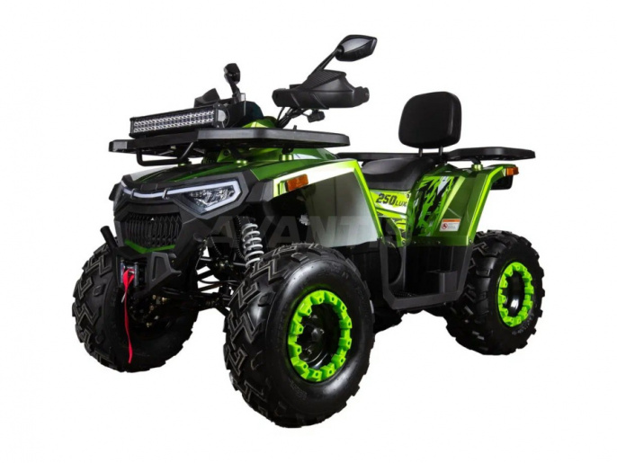 Квадроцикл Avantis Hunter 250 BIG NEW Lux (баланс. вал)