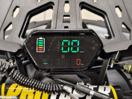 Квадроцикл Lion 125 AA серый