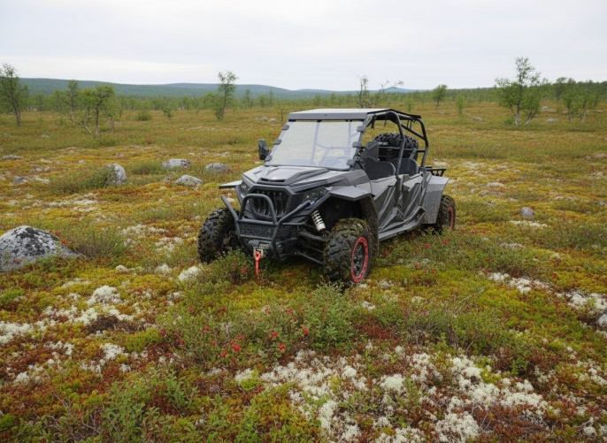 Багги HOOLEOX 800 х4