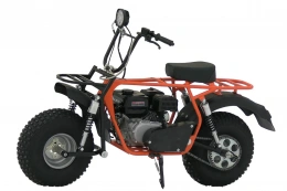 Мотоцикл СКАУТ САФАРИ 3L- 8+  BIGFOOT (ФАРА, перед и зад подвес. KP230 -8 л.с.,руч.старт, диск торм)	